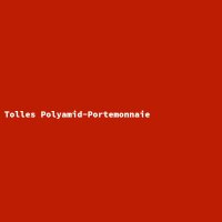 Great Polyamide Wallet